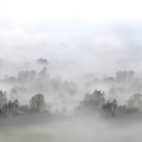 Fototapet personalizat Morning Fog, 248x265cm, Rebel Walls - Img 2