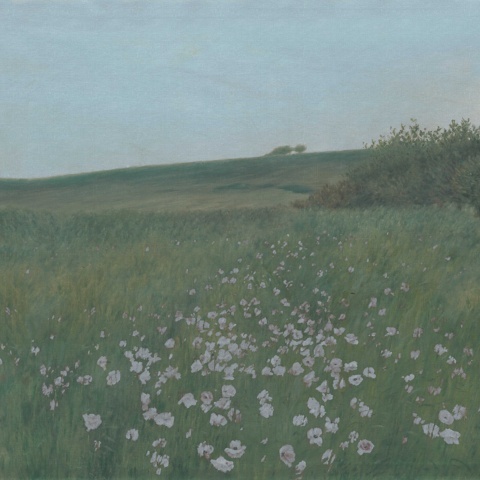 Fototapet, Poppy Landscape, Dusk, Rebel Walls - Img 2