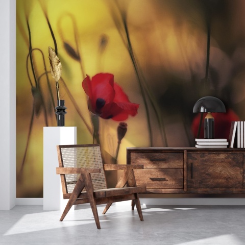 Fototapet, Soft Poppy, Rebel Walls