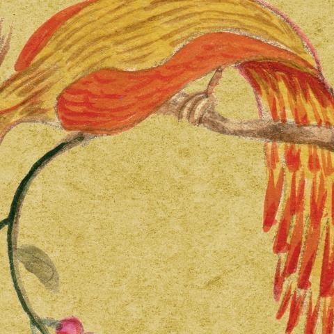 Fototapet, Songbirds, Saffron, Rebel Walls - Img 4