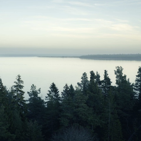 Fototapet, Top View, Day, Rebel Walls - Img 2