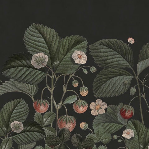 Fototapet, Wild Strawberries, Midnight, Rebel Walls - Img 2