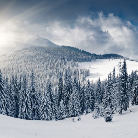 Fototapet, Winter, Rebel Walls - Img 2