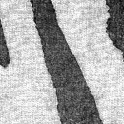 Fototapet, Zebra Stripes, Graphite, Rebel Walls - Img 6