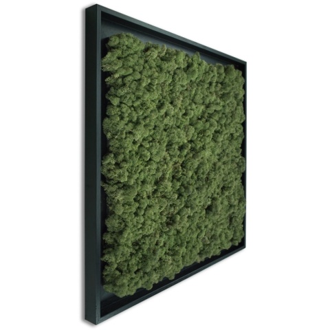 Panou decorativ , Licheni Islandezi, My Torvtak Moss Green - Img 2