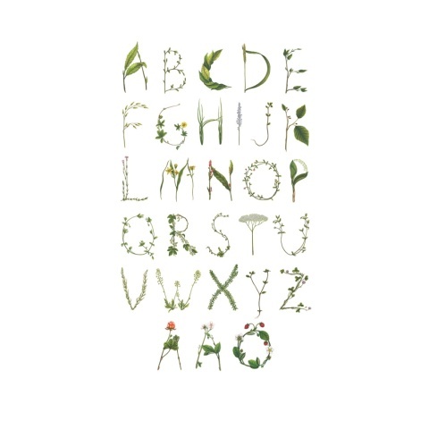 Fototapet, ABC for the Spelling Bee in Swedish, Rebel Walls - Img 2