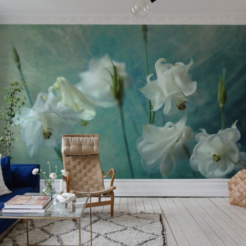 Fototapet, Aquilegia Flower, Rebel Walls