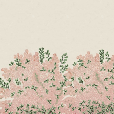 Fototapet, Beautiful Blossoms, Pink, Rebel Walls - Img 2