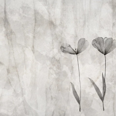 Fototapet Botanic Marcin Runowiecki R-Design Florina Rêve MRF100