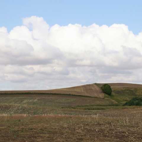 Fototapet, Cropland, Rebel Walls - Img 2