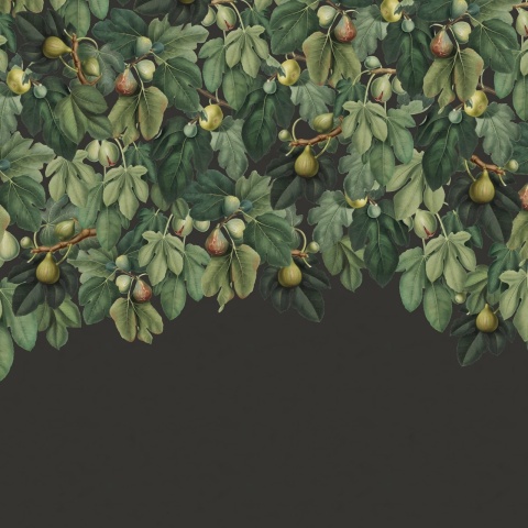 Fototapet, Dangling Figs, Lush, Rebel Walls - Img 2