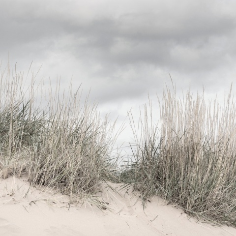 Fototapet, Pale Shore, Rebel Walls - Img 8