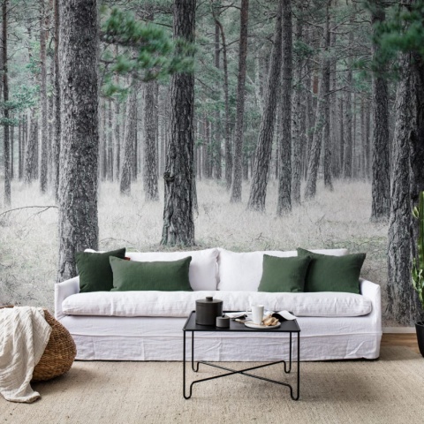 Fototapet, Pine Forest, Rebel Walls - Img 5