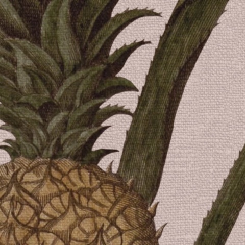 Fototapet, Pineapple, Soft Pink, Rebel Walls - Img 4