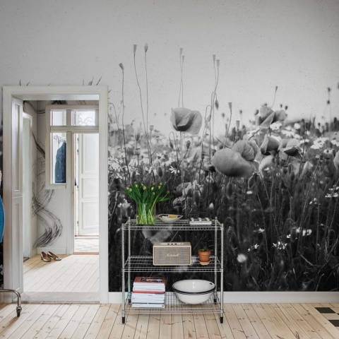 Fototapet, Poppy Field, Black & White, Rebel Walls