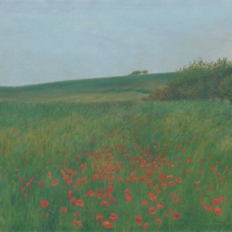 Fototapet, Poppy Landscape, Summer, Rebel Walls - Img 2