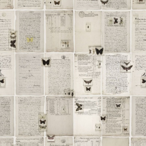 Fototapet, The Butterfly Library, Rebel Walls - Img 2