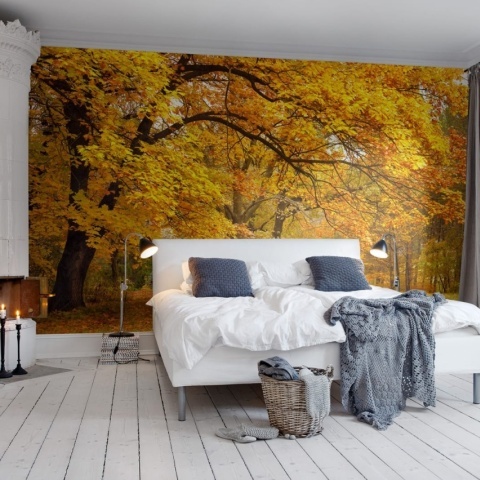 Fototapet, Yellow Leafy Trees, Rebel Walls