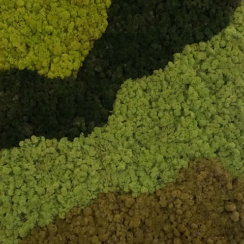 Panou decorativ din muschi, Torvtak Icemoss Lime Green - Img 4