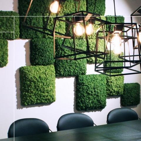 Panou decorativ din muschi, Torvtak Icemoss Moss Green - Img 5