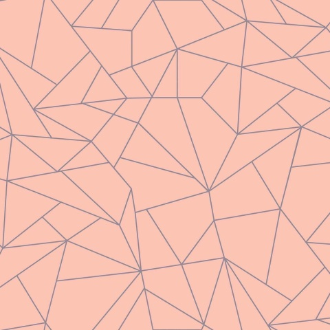 Tapet, Fractal, Salmon, Coordonne - Img 2