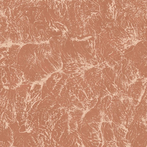 Tapet, Sepia, Rose, Coordonne, 5mp / rola - Img 2