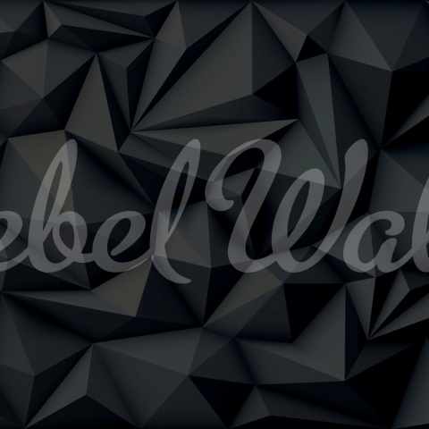 Fototapet, Acoustic Panel, Black, Rebel Walls - Img 2