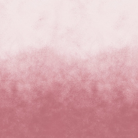 Fototapet, Ash Gradient, Pink, Rebel Walls - Img 5