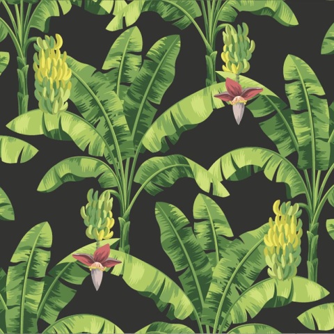 Fototapet Banana leaf, VLAdiLA - Img 2