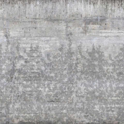 Fototapet, Climbing Clorofyl, Shadow, Rebel Walls - Img 5