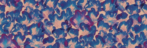 Fototapet, Corals, Blue, Rebel Walls - Img 6