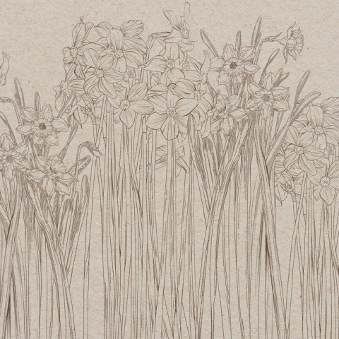 Fototapet, Daffodil, Beige, Rebel Walls - Img 5