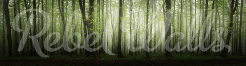 Fototapet, Dawn in the Forest, Rebel Walls - Img 4
