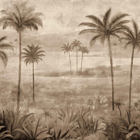 Fototapet, Draa Palms, Bone, Coordonne - Img 2