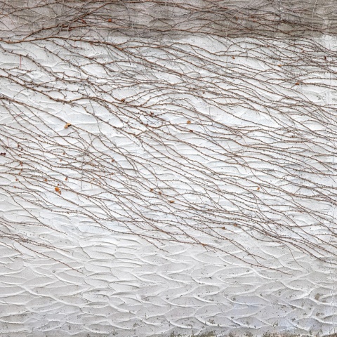 Fototapet, Fade Away, Rebel Walls - Img 2