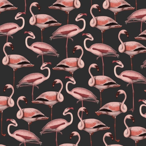 Fototapet, Flamingos, Liquorice, Rebel Walls - Img 2