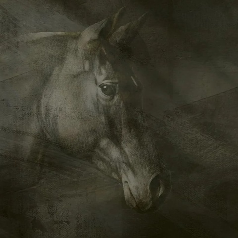 Fototapet Friesian Charm - personalizat, VLAdiLA - Img 2