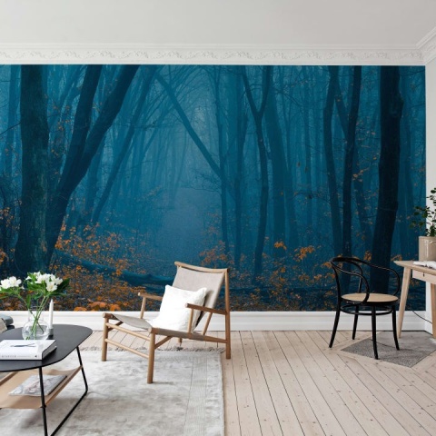 Fototapet, Hazy Forest, Rebel Walls