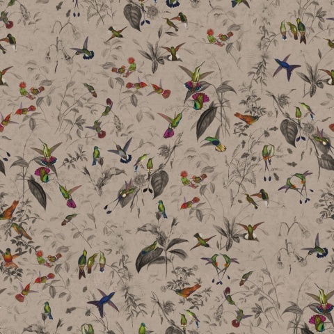 Fototapet, Hummingbird, Beige, Rebel Walls - Img 2