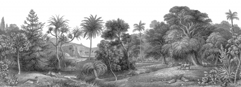 Fototapet, Jungle Land, Rebel Walls - Img 2