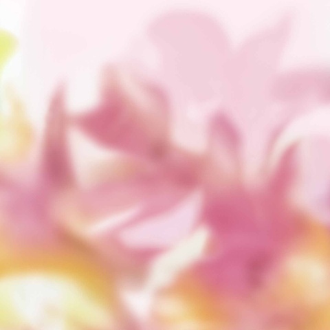 Fototapet Maravillas, Pink, Coordonne - Img 2