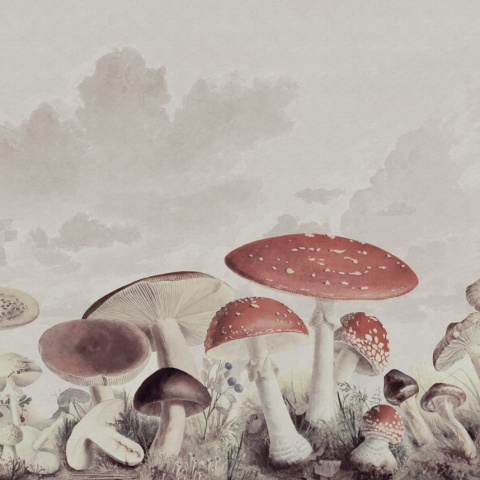 Fototapet, Mushrooms, Vintage, Rebel Walls - Img 2