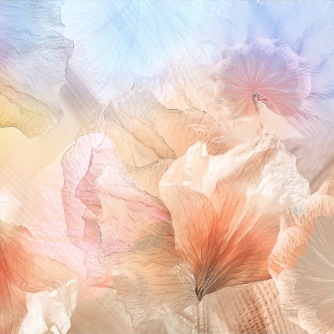 Fototapet, Pastel Petals, Rebel Walls - Img 2