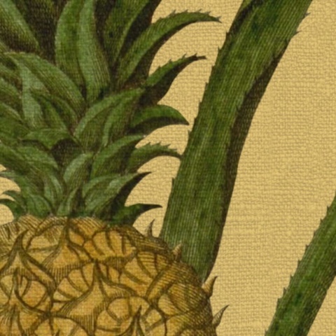 Fototapet, Pineapple, Sunshine, Rebel Walls - Img 4
