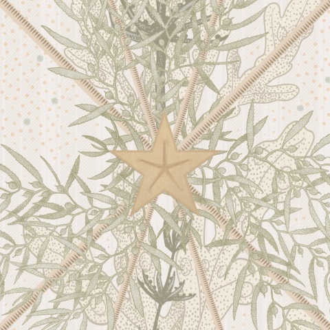 Fototapet, Seaweed &amp; Stars, Sand, Rebel Walls - Img 8
