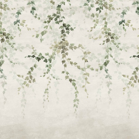 Fototapet Vine Shadow, Green, Coordonne - Img 2