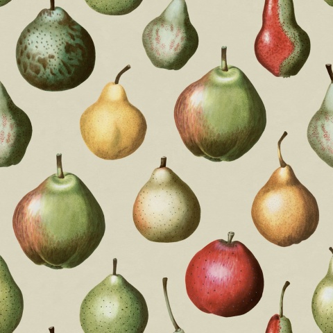 Fototapet, Vintage Pear, Happy, Rebel Walls - Img 2