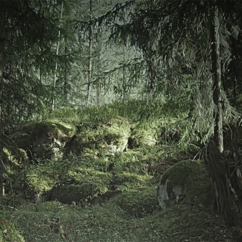 Fototapet, Virgin Forest, Rebel Walls - Img 2