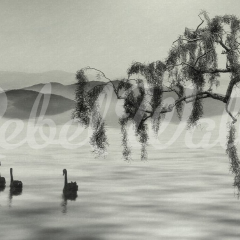 Fototapet, Zen Lake, Rebel Walls - Img 2