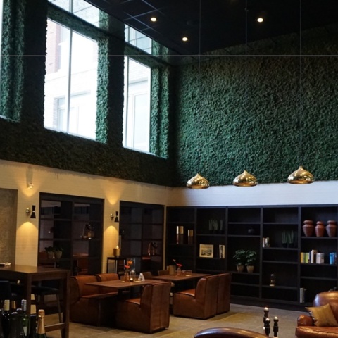 Panou decorativ din muschi, Torvtak Icemoss Moss Green - Img 2